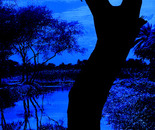 Voice of tranquillity