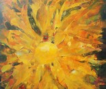 Like the sun