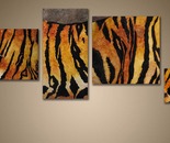 Bengal Tiger