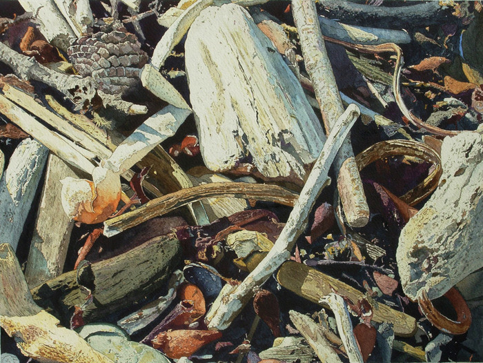Point Lobos Memories,Carmel