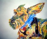 Rainbow Dog