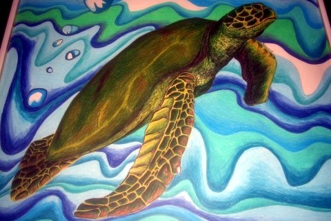 Turtle