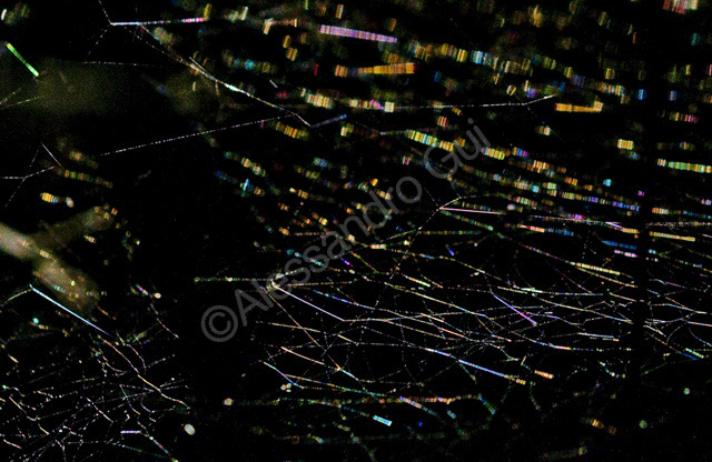 Spider web galaxy 01