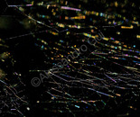 Spider web galaxy 01