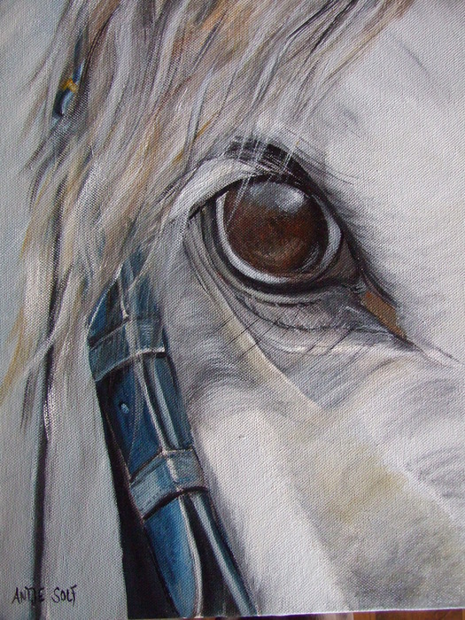 paardenoog acryl 30 x 40 cm