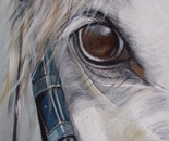 paardenoog acryl 30 x 40 cm