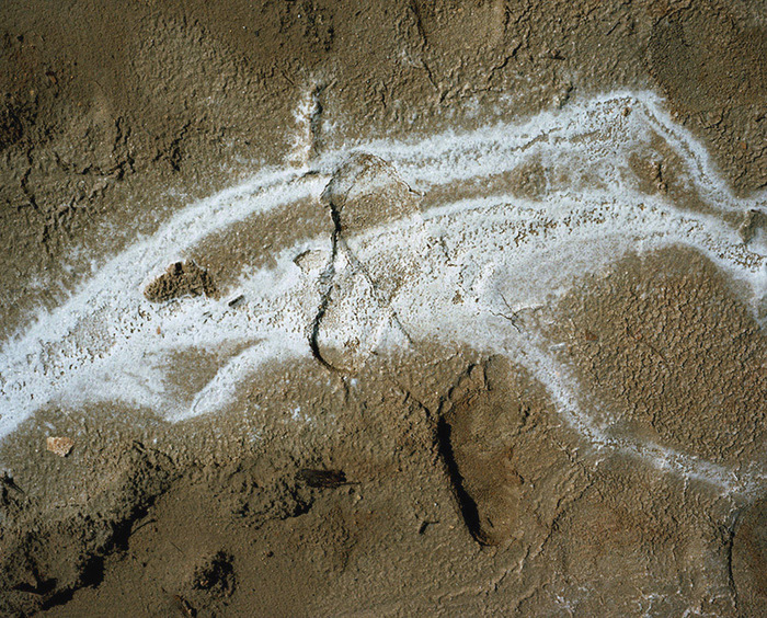 Traces