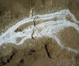 Traces