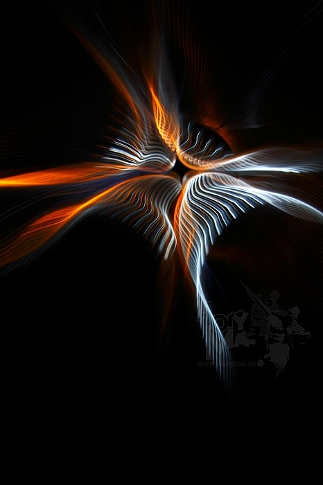 Twisted Shifts - Abstraction (4) 