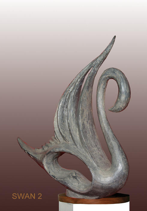  Swan 2
