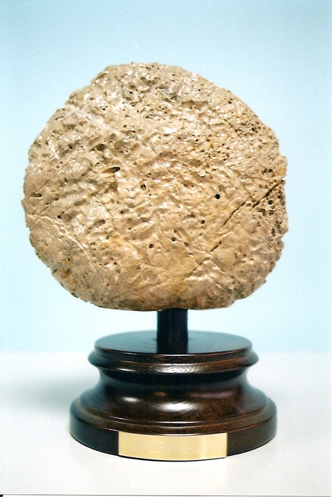 METEORITE (PS-10)