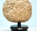 METEORITE (PS-10)