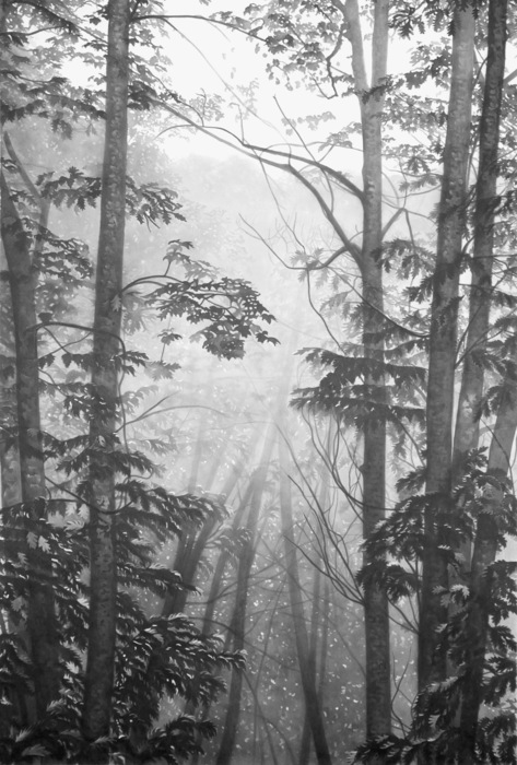 Mountain Mystique