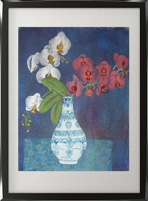 phalaenopsis