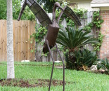 Stork 