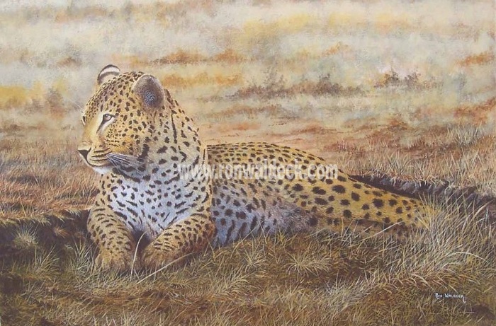 Leopard Resting 