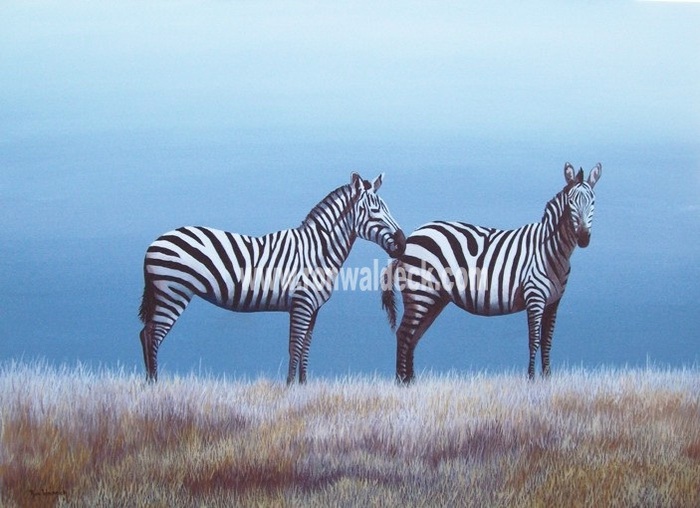 Zebras against a Blue Sky 