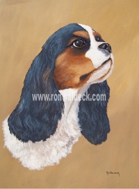 Cavalier King Charles Spaniel