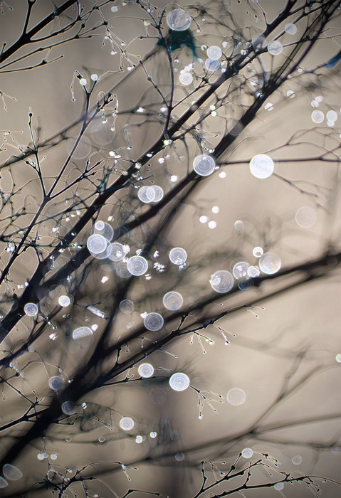 Droplets