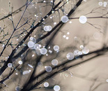 Droplets