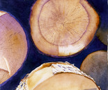 firewood