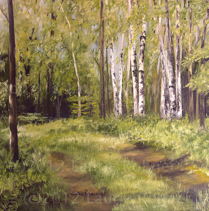 Path to the birch trees. 