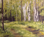 Path to the birch trees. 