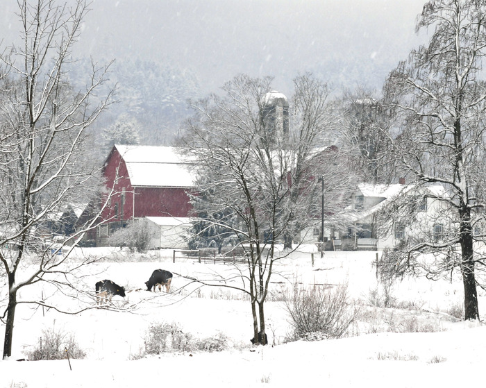 Winter Farm