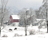 Winter Farm