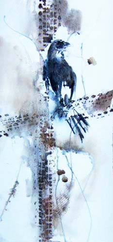 crow