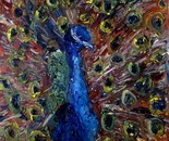 the peacock
