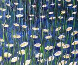 lillies