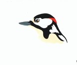 Of Feathers and Beaks: Great Spotted Woodpecker