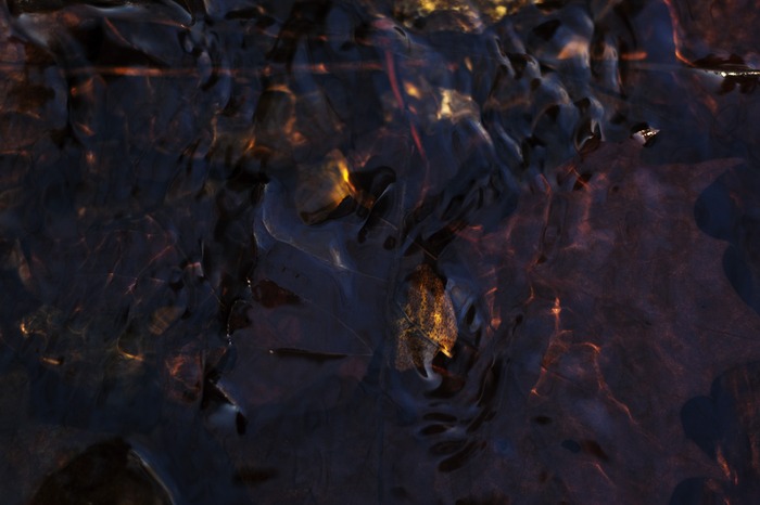 Devil's Icebox V