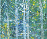 Aspen Eyes