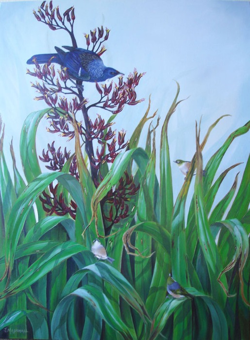 Tui and waxeyes on flax