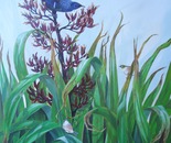 Tui and waxeyes on flax