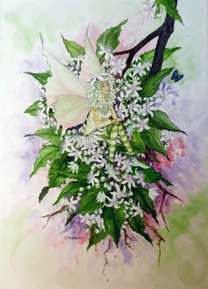 Houhere Faerie