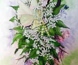 Houhere Faerie