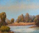 Abandoned Pond