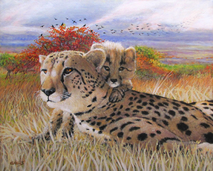 Cheetah and Cub