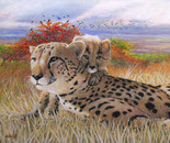 Cheetah and Cub