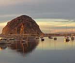 Safe in the Harbor