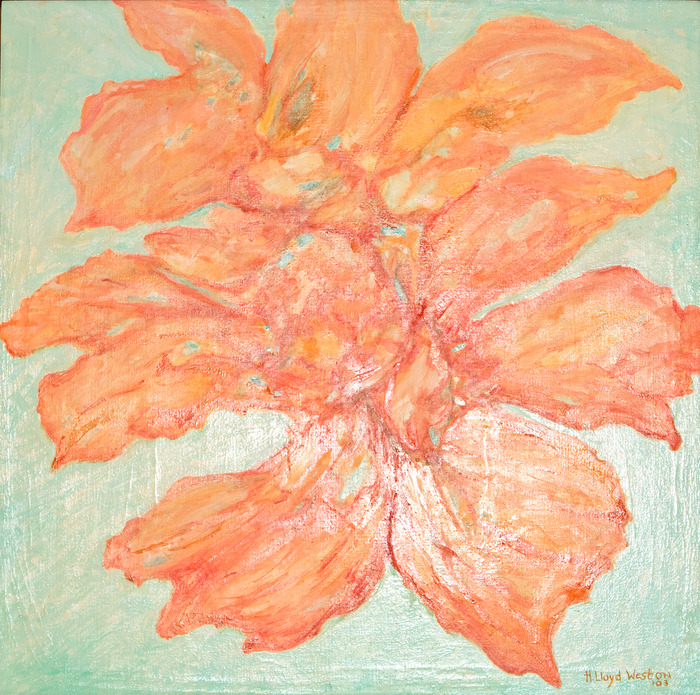 Persimmon Orchid