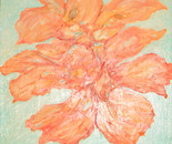 Persimmon Orchid