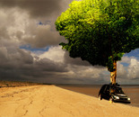 car with tree