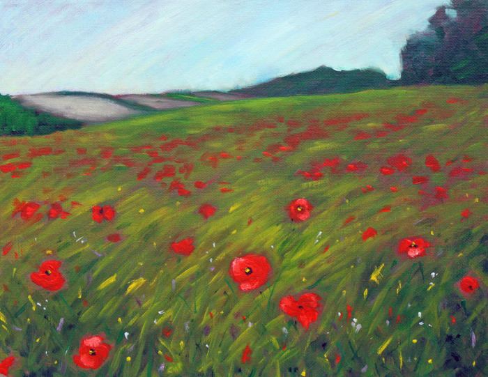 Poppy field