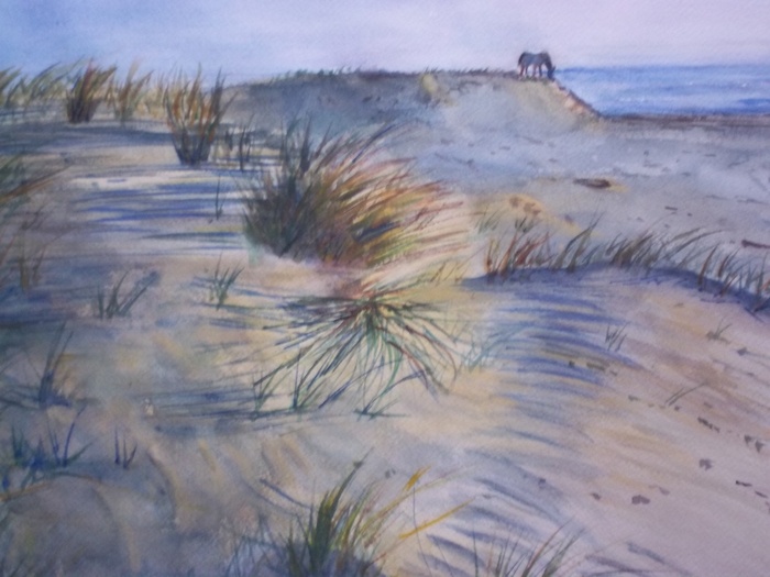The Sand Dunes