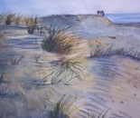 The Sand Dunes