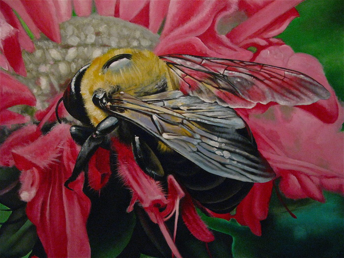 bumble bee